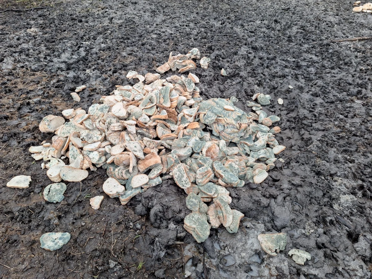 Straż leśna szuka osoby, która wyrzuciła w lesie na terenie Sosnowca w woj. śląskim kilkaset kilogramów spleśniałego krojonego chleba. "To ewidentna próba zaoszczędzenia na utylizacji zepsutej żywności" - przekazało Nadleśnictwo Siewierz.