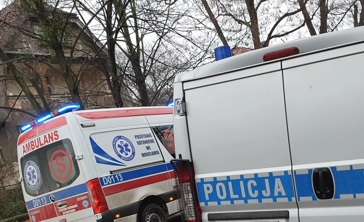 Nowe fakty ws. potrącenia w Gostyninie 37-letniej kobiety prowadzącej wózek z 9-miesięcznym dzieckiem. Badanie alkomatem jednego z dwóch zatrzymanych w sprawie dało wynik pozytywny. Drugi z zatrzymanych nie poddał się temu badaniu. Nadal trwają ustalenia, który z mężczyzn kierował samochodem w chwili wypadku.