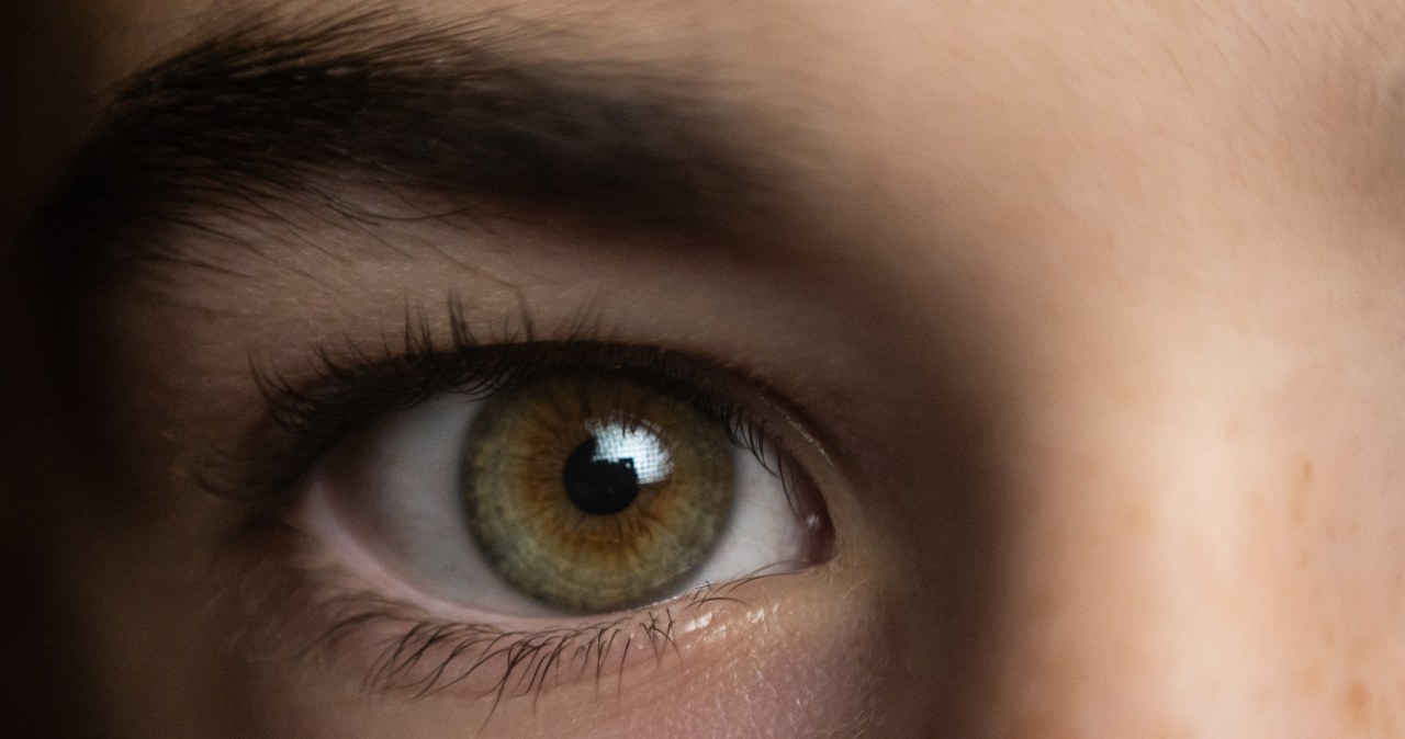 Naukowcy "Oscar" dla terapii przywracającej wzrok. Docenili 25 lat pracy