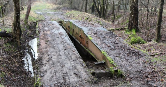 Unikatowy egzemplarz przenośnego mostu szturmowego MH 12 trafił w ostatnich dniach do Muzeum Broni Pancernej w Poznaniu. To jedyna taka konstrukcja stworzona przez polskich inżynierów w latach 50. ubiegłego wieku. Znaleziono go w lesie nieopodal Gliwic, gdzie był wykorzystywany w wojskowych ćwiczeniach.