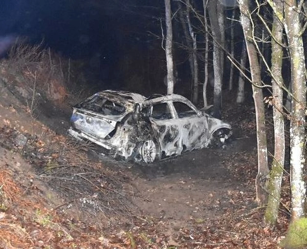 Policja wyjaśnia okoliczności wypadku, do jakiego doszło w pobliżu miejscowości Leśna Jania w Pomorskiem. Auto marki Cupra uderzyło w drzewo, zdążyło wysłać automatyczną wiadomość i spłonęło. Niestety, razem z kierowcą w środku. Funkcjonariusze próbują ustalić tożsamość ofiary.