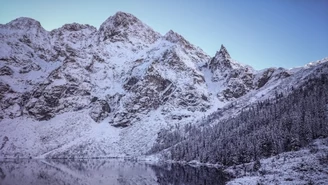 Bóbr w górach dał radę. Na śniegu widać ślady