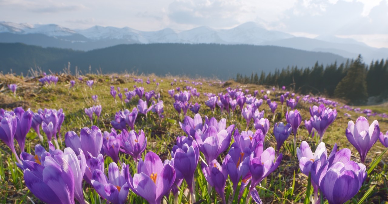 Za dwa tygodnie w Tatrach będą tłumy. Wskazano przyczynę