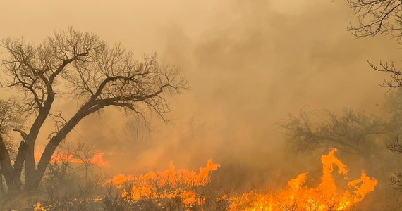 W amerykańskim Teksasie szaleje pożar, uznany za największy w historii tego stanu. Władze ostrzegły, że w weekend ogień może się jeszcze bardziej rozprzestrzenić. Żywioł doprowadził do tej pory do śmierci dwóch osób, zabił tysiące sztuk bydła i spustoszył obszar blisko pół miliona hektarów, niszcząc m.in. około 500 domów.