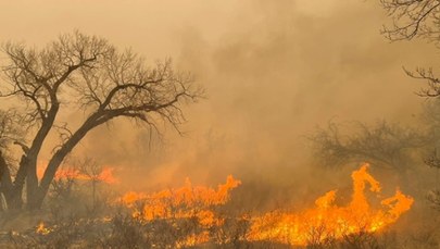 Gigantyczny pożar w Teksasie pozostawia zgliszcza. Są ofiary