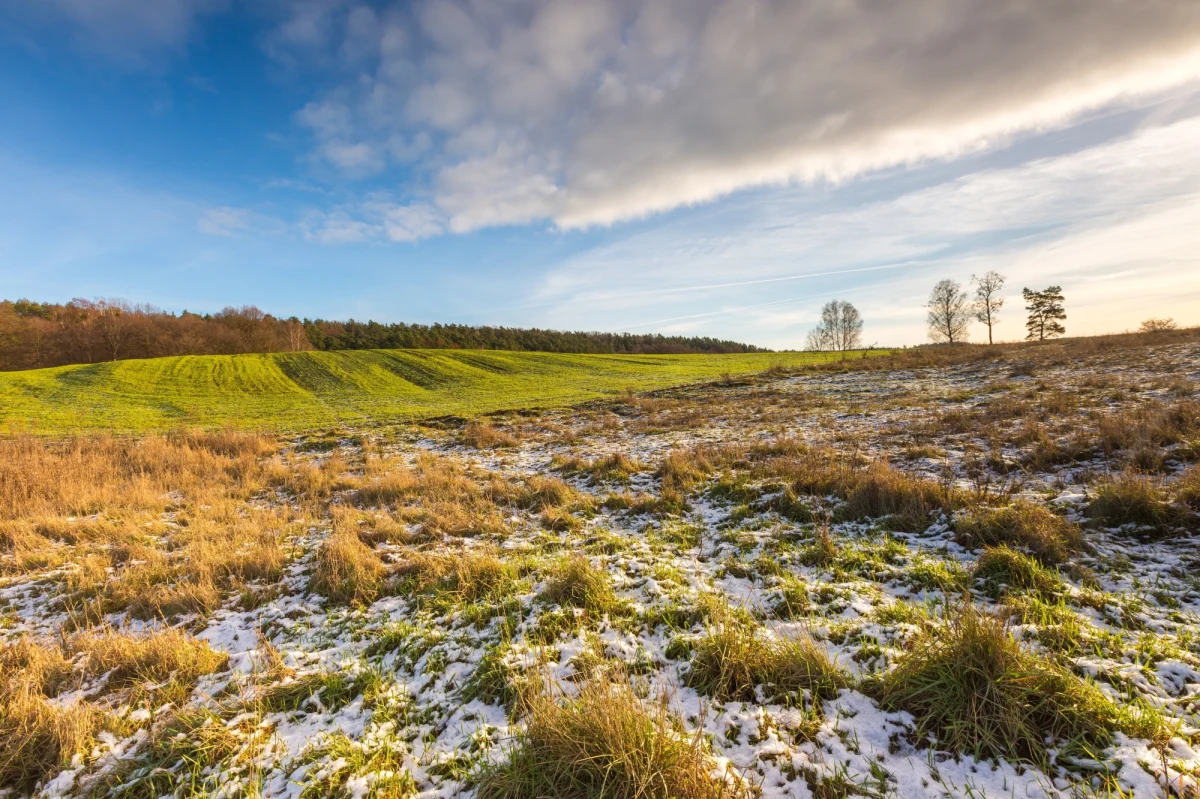 Jaka aura będzie towarzyszyć Wielkanocy? Rzecznik prasowy IMGW Grzegorz Walijewski przedstawił pierwsze prognozy. „W święta w całym kraju sporo opadów, a w górach może spaść śnieg. Na początku kwietnia do Polski przyjdzie chłód” – stwierdził.