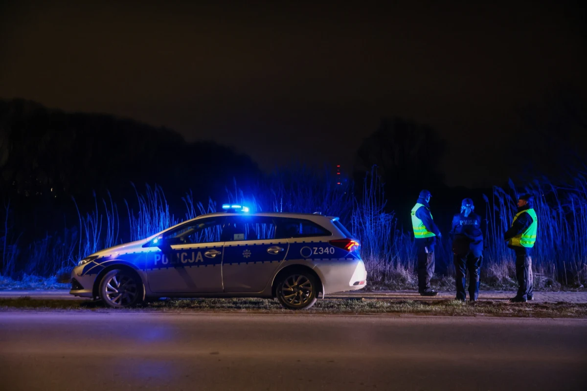 Kłopoty z silnikiem były prawdopodobną przyczyną awaryjnego lądowania awionetki na łące wczoraj wieczorem w warszawskiej dzielnicy Wawer - dowiedział się reporter RMF FM Michał Dobrołowicz. Pasażerowie małego samolotu, 60-letni mężczyzna i 33-letnia kobieta, zostali przewiezieni do szpitala.