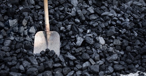PGG wprowadza nowe zasady związane z odbiorem węgla kupowanego w sklepie internetowym Polskiej Grupy Górniczej. Firma wprowadza też rabaty dla stałych klientów. Udogodnienia już obowiązują.