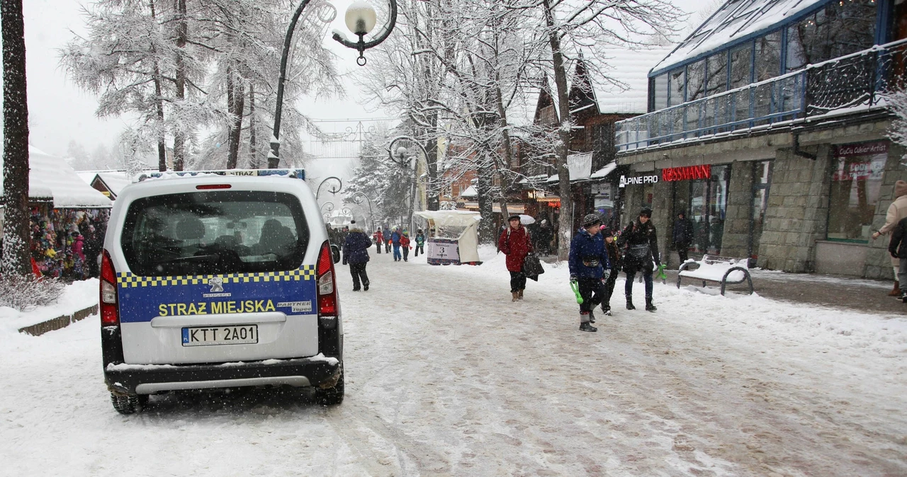 Zakopane. Miś z Krupówek oburzył internautów. 