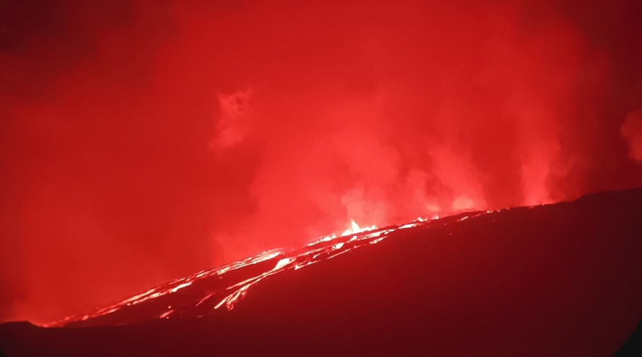 /Domenica Guerrero HANDOUT /PAP/EPA