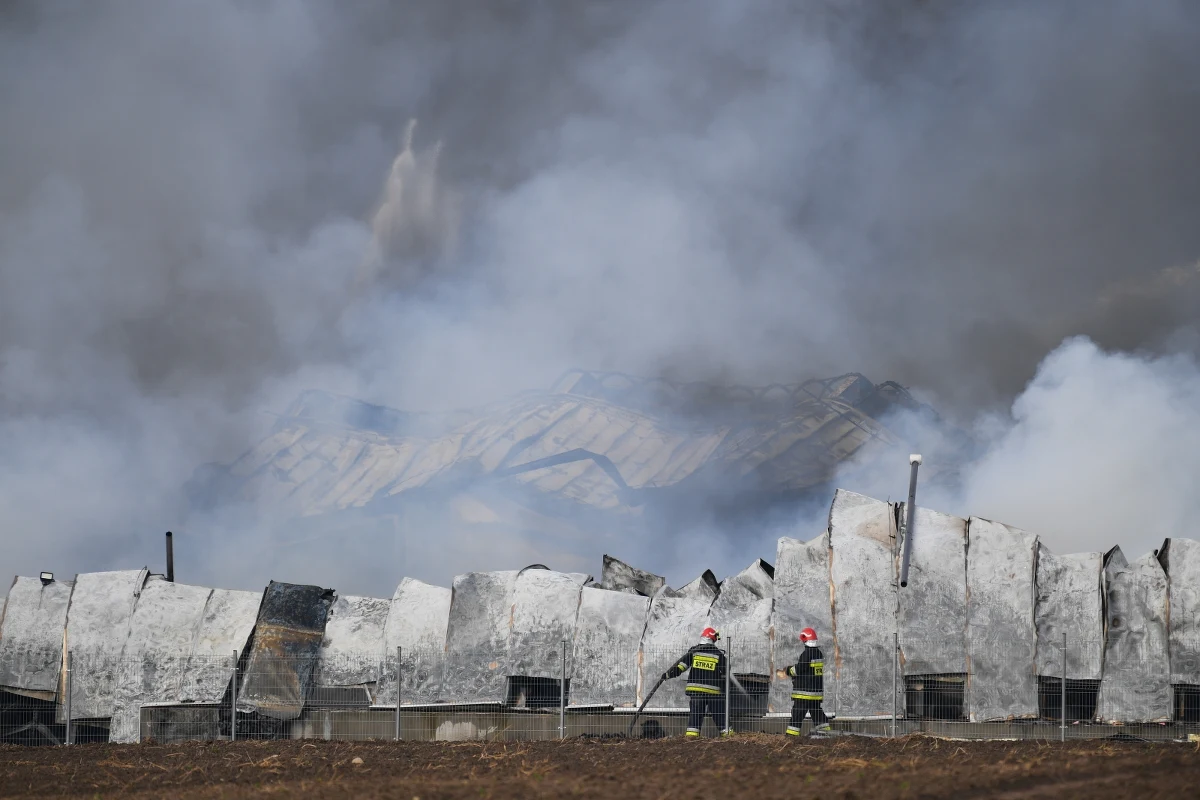 Grupa śledcza złożona z policjantów i ekspertów będzie wyjaśniać przyczyny pożaru zakładu produkującego fronty meblowe w pomorskim Kaninie. „Do oględzin będziemy wykorzystywali skaner 3D, który pozwoli na wykonywanie zdjęć sferycznych” – poinformowała kom. Karina Kamińska, rzecznik prasowy KWP w Gdańsku. 

