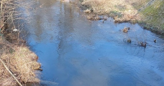 Skażona rzeka w podpoznańskich Czapurach. Na Głuszynce jeden z mieszkańców zauważył plamę substancji ropopochodnej. Interweniowali tam inspektorzy ochrony środowiska oraz strażacy z grupy chemicznej.