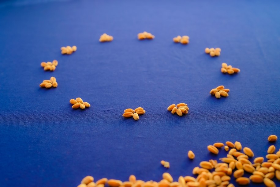 Kluczowe głosowanie w PE. Umowa z Ukrainą będzie poprawiona?