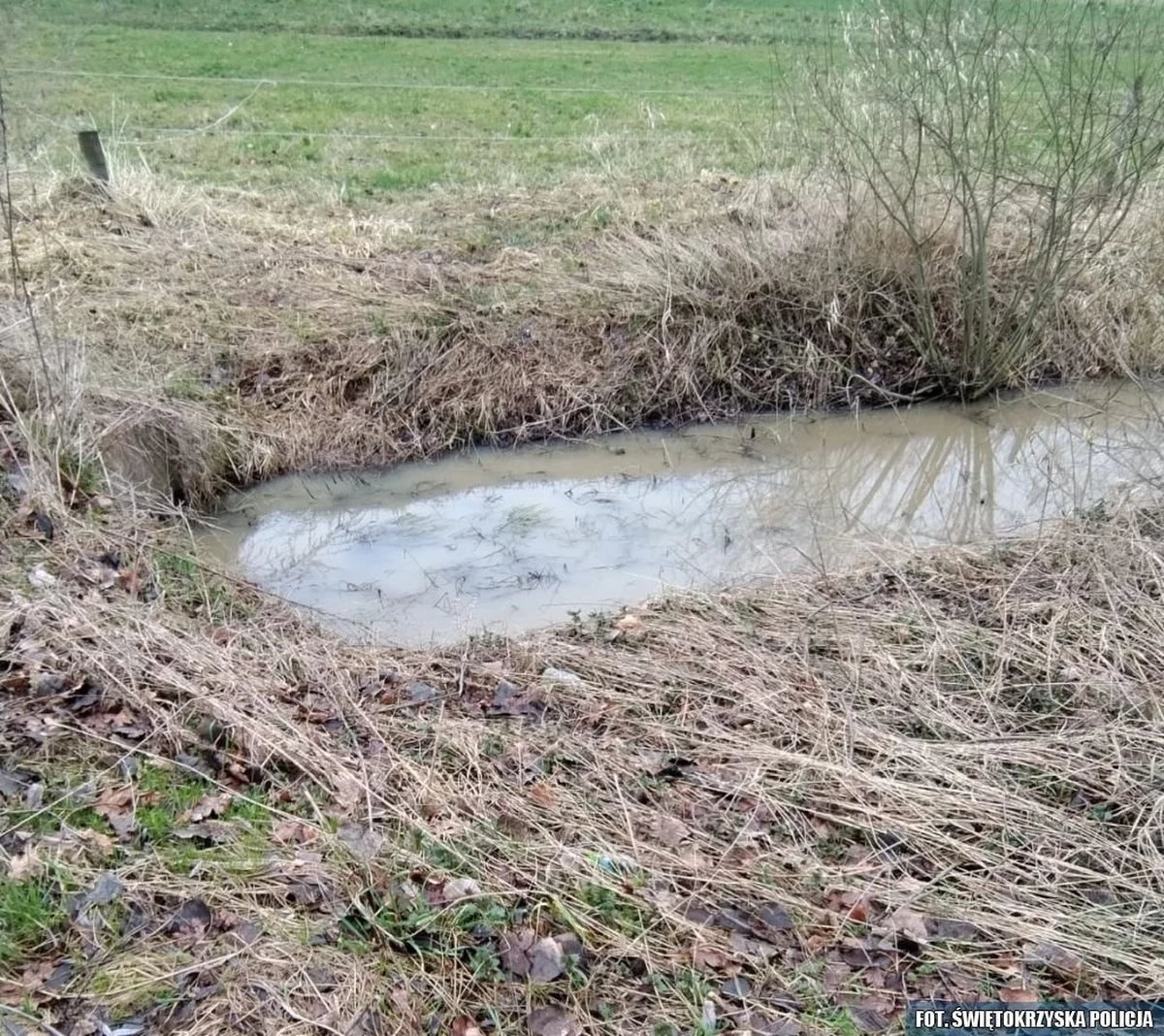 Policjant z Połańca uratował mężczyznę, który pijany wpadł do rowu. Być może ocalił go przed skrajnym, zagrażającym życiu, wyziębieniem, bo w momencie interwencji temperatura ciała 74-latka wynosiła tylko 32 stop. C.  