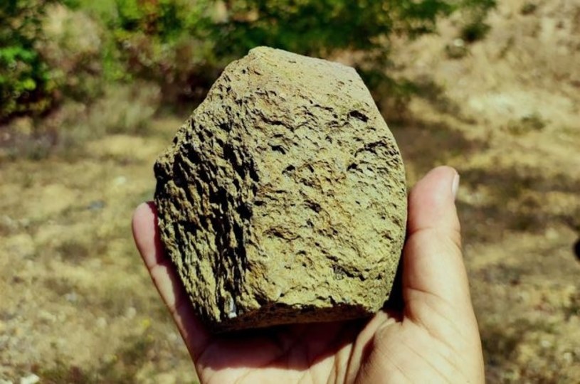 Według nowych badań starożytne narzędzia kamienne - znalezione już w latach 70. ubiegłego wieku na zachodzie Ukrainy - mogą być najstarszym znanym dowodem obecności człowieka w Europie.