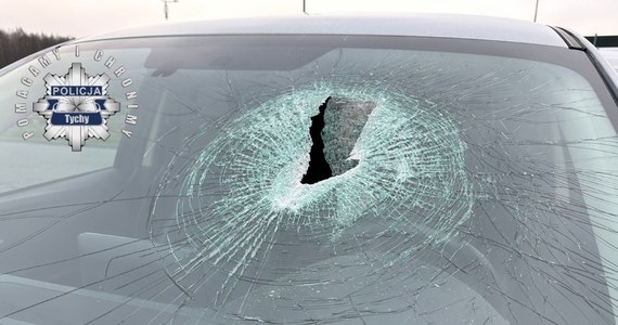 Do szpitala trafił 34-letni kierowca zraniony okruchem asfaltu, który wystrzelił spod kół innego samochodu i przebił przednią szybę w jego aucie. Do wypadku doszło wczoraj na drodze krajowej 86 w Tychach.     