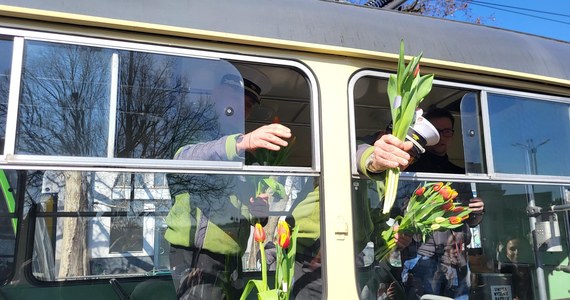 Półtora tysiąca tulipanów dla pasażerek poznańskiego MPK! Na tory w centrum Poznania wyjechał specjalny tramwaj, a jego załoga rozdaje kwiaty podróżującym paniom. To już tradycja!