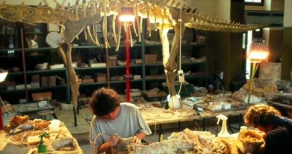 Montouliers we francuskim regionie Oksytania. 25-letni paleontolog amator Damien Boschetto wychodzi do lasu na spacer z psem. Docierając w okolice klifu zauważa, że z zawalonej krawędzi wystaje kość. W ten sposób Boschetto dokonał niezwykłego odkrycia - kość była bowiem fragmentem niemal kompletnego szkieletu tytanozaura.