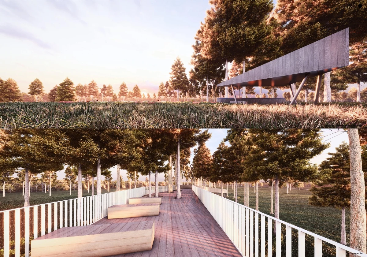 W Roztoczańskim Parku Narodowym ma się pojawić wieża widokowa i kładka w koronach drzew. Park właśnie zlecił zaprojektowanie tych obiektów.