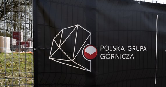 Leszek Pietraszek został nowym prezesem Polskiej Grupy Górniczej - poinformowała w poniedziałek PGG. W ostatnich latach Pietraszek był m.in. członkiem rady nadzorczej spółki Haldex, a w przeszłości m.in. dyrektorem delegatur ABW w Katowicach i Opolu.