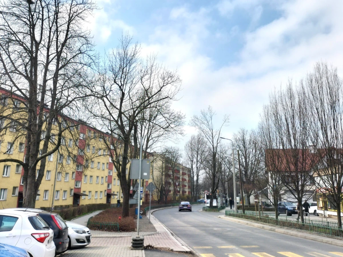 Od soboty, 16 marca zmieni się organizacja ruchu w rejonie ulic Młyńskiej i Miechowity. Ulica Miechowity zostanie zamknięta, a na ulicy Młyńskiej pojawią się zwężenia.