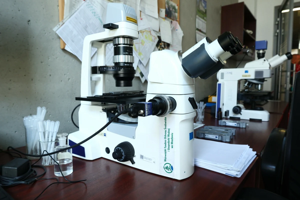 Naukowcy z Wielkiej Brytanii stworzyli model sztucznej inteligencji, który potrafi rozpoznawać nowe mutacje Covid-19. Badacze wierzą, że ich oprogramowanie okaże się przydatne w walce z innymi wirusami, a także ograniczy skutki przyszłych epidemii.