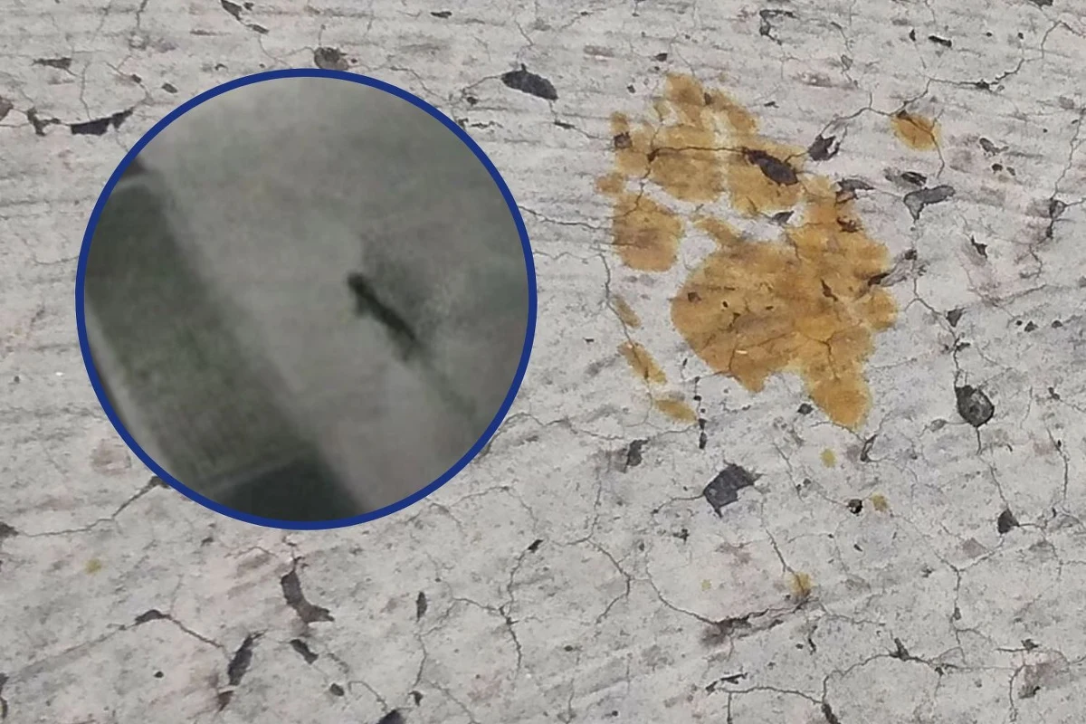 Nie zbliżajcie się, nie dotykajcie, nie bierzcie na ręce – mieszkańcy japońskiego miasta Fukuyama dostali ostrzeżenie przed… kotem. Futrzak wpadł do cysterny z trującymi chemikaliami. 