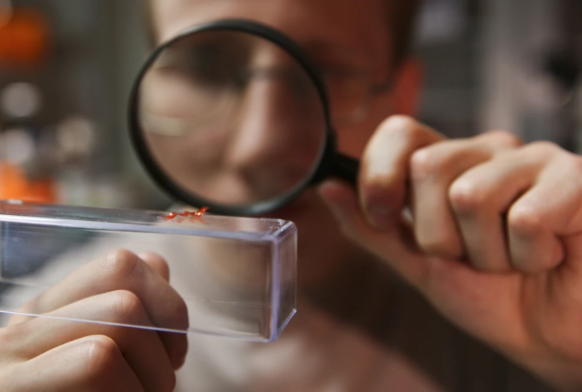 Studenci z Wydziału Fizyki Uniwersytetu Warszawskiego (FUW) zdobyli złoty medal w konkursie University Physics Competition 2023. Zawody polegały na przygotowaniu pracy naukowej na jeden z dwóch zadanych tematów. W rywalizacji wzięło udział 466 drużyn z ośrodków naukowych z całego świata, w tym ośmiu z wydziału Fizyki UW.