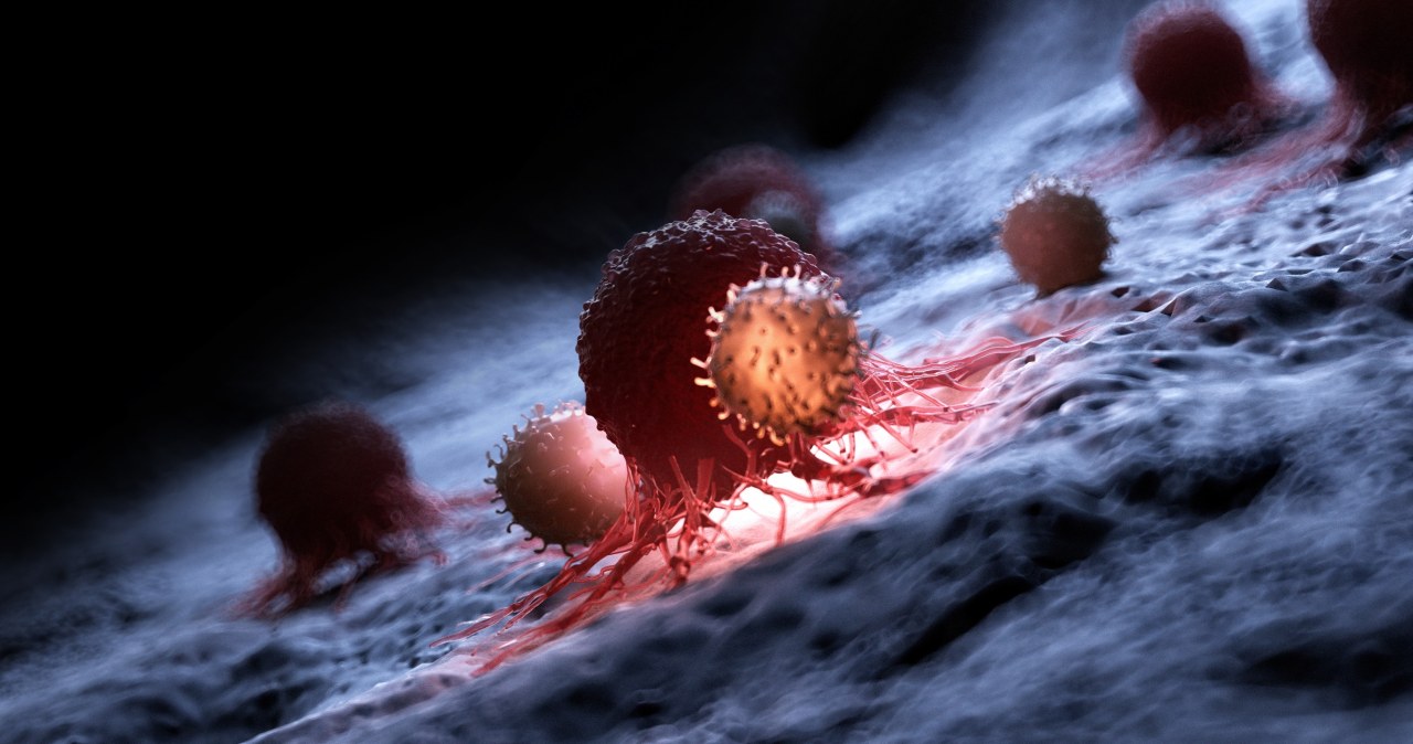 Sprawili, iż ​​lek na raka jest 20 tys. razy skuteczniejszy