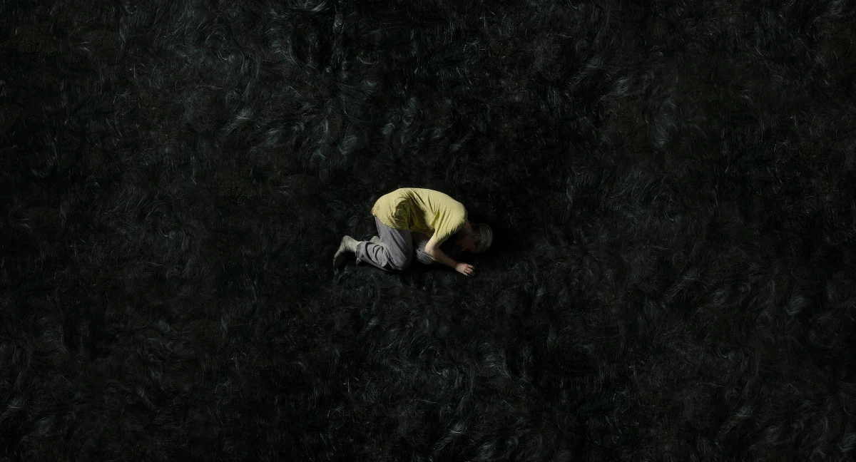 "Amerykańscy niezależni" to jedna z czterech stałych sekcji festiwalu Mastercard OFF CAMERA. Już od kilku lat tworzy trzon programowy, niezmiennie przyciągając nowych fanów amerykańskiego kina. 