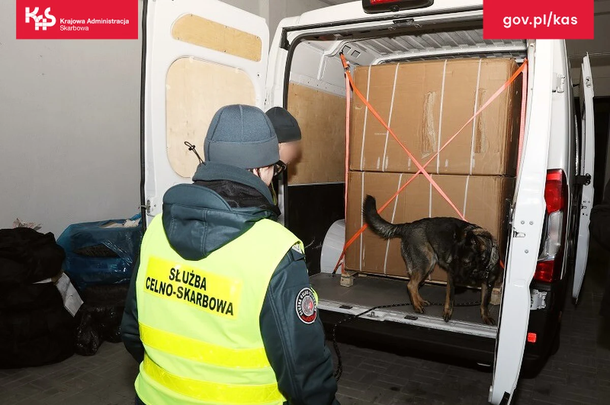 Dolnośląska Krajowa Administracja Skarbowa udaremniła przemyt 2,6 ton tytoniu krojonego do palenia, bez obowiązujących znaków akcyzy. Tytoń ukryty był w busach, które jechały z Niemiec. Gdyby przechwycony towar trafił do sprzedaży, budżet państwa straciłby ponad 2,5 mln zł.