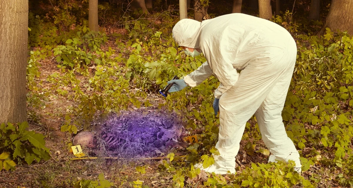 Prokuratura Rejonowa w Ostródzie prowadzi śledztwo w sprawie ludzkiego szkieletu, który został znaleziony w niedzielę w miejscowości Kajkowo pod Ostródą. Makabrycznego odkrycia dokonał przypadkowy spacerowicz.