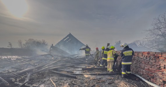 W wielkopolskim Staniewie zapalił się budynek gospodarczy. W środku była hodowla królików. Trzystu z nich nie udało się uratować. Straty oszacowano na kilkaset tysięcy złotych.