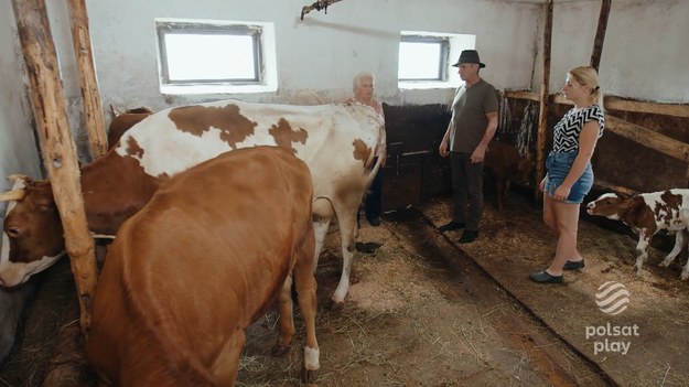 Od zarania dziejów na najwyższych szczytach żyje odosobniona społeczność. Stanowią najbardziej niezwykłą i odrębną grupę etniczną w Polsce. Wyróżnia ją gwara, oryginalne stroje, muzyka, kultura, architektura, zwyczaje i hardy charakter. Od wieków w ten sam sposób juhasi wypasają owce a kobiety wyrabiają oscypek. Serial „Górale” opowiada o tym jak czas zatrzymał się w Górach. Ludzie gór maja spokój wewnętrzny, wiedzą że nic nie muszą, nigdzie się nie spieszą – akceptują co im daje los, żyją w symbiozie z naturą, górami oraz porami roku. Jak mówi Staszek, jeden z bohaterów serii – „Aby tak żyć trzeba się urodzić w górach, albo sobie na takie życie zasłużyć.” Cykl „Górale” ukazuje życie ludzi gór, kamera towarzyszy im przy pracy, przy wypoczynku. Widzowie będą mogli przezywać z bohaterami ich radość, jak również obserwować porażki.