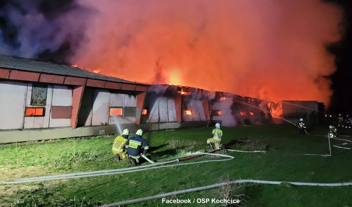 Około 20 tys. kurcząt spłonęło w wyniku nocnego pożaru fermy drobiu w Glinicy w Śląskiem. Nie ma osób poszkodowanych.