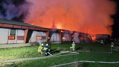 Pożar fermy drobiu w Śląskiem. Spłonęło 20 tys. kurcząt