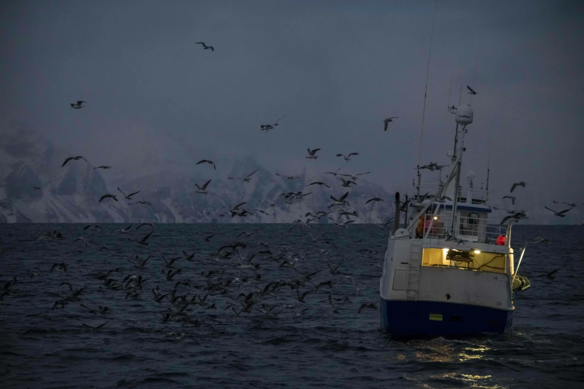 W pobliżu obwodu królewieckiego na Bałtyku odnotowano eksplozję statku. Według kanału telegramowego Baza, chodzi o rybacki trawler "Kapitan Łobanow". Rosyjskie źródła informują, że na pokładzie znajdowało się siedem osób. Sprawa wydaje się tajemnicza - niektóre serwisy twierdzą, że eksplozja może być powiązana z ćwiczeniami rosyjskiej marynarki.