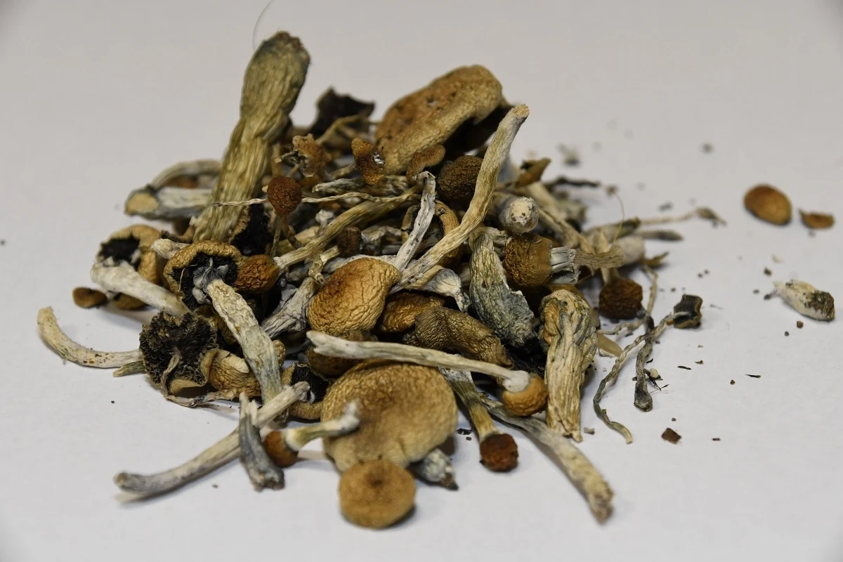 Grzybki, farmaceutyki, kosmetyki - a to wszystko z przemytu. Izba Administracji Skarbowej w Lublinie zdecydowała się pokazać, co w lutym próbowano przemycić przez granicę Polski. Lista jest spora, od obieraczek do warzyw po kosmetyki z żółci niedźwiedzia.