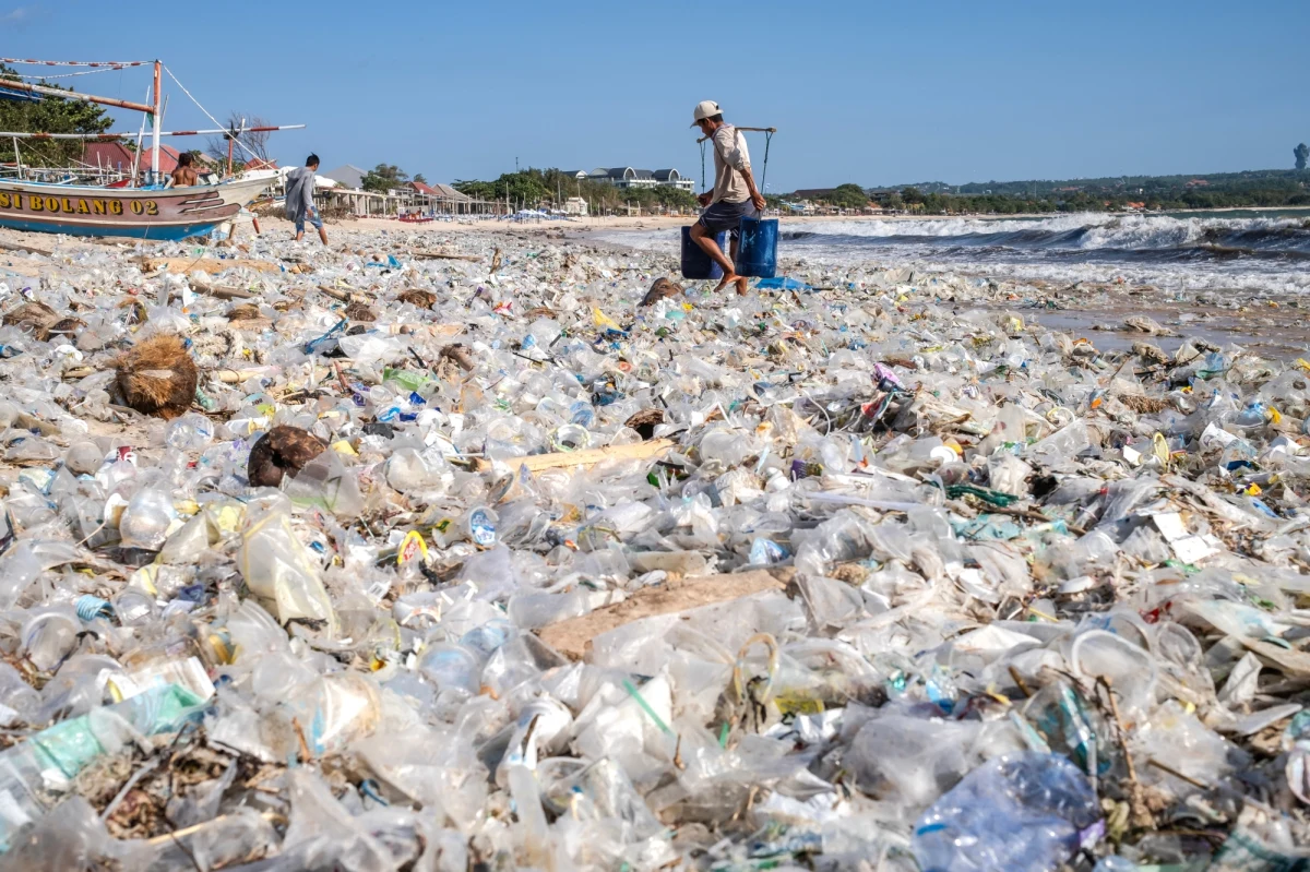 Palmy, turkusowe morze, słońce i przepiękne plaże - o takim obrazie turystycznego raju na indonezyjskiej wyspie Bali zapomnijcie. Na skutek ulewnych deszczy i wichur przypomina dziś bardziej wysypisko śmieci. 