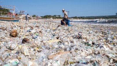 Koszmar w turystycznym raju: Plaże na Bali toną w śmieciach