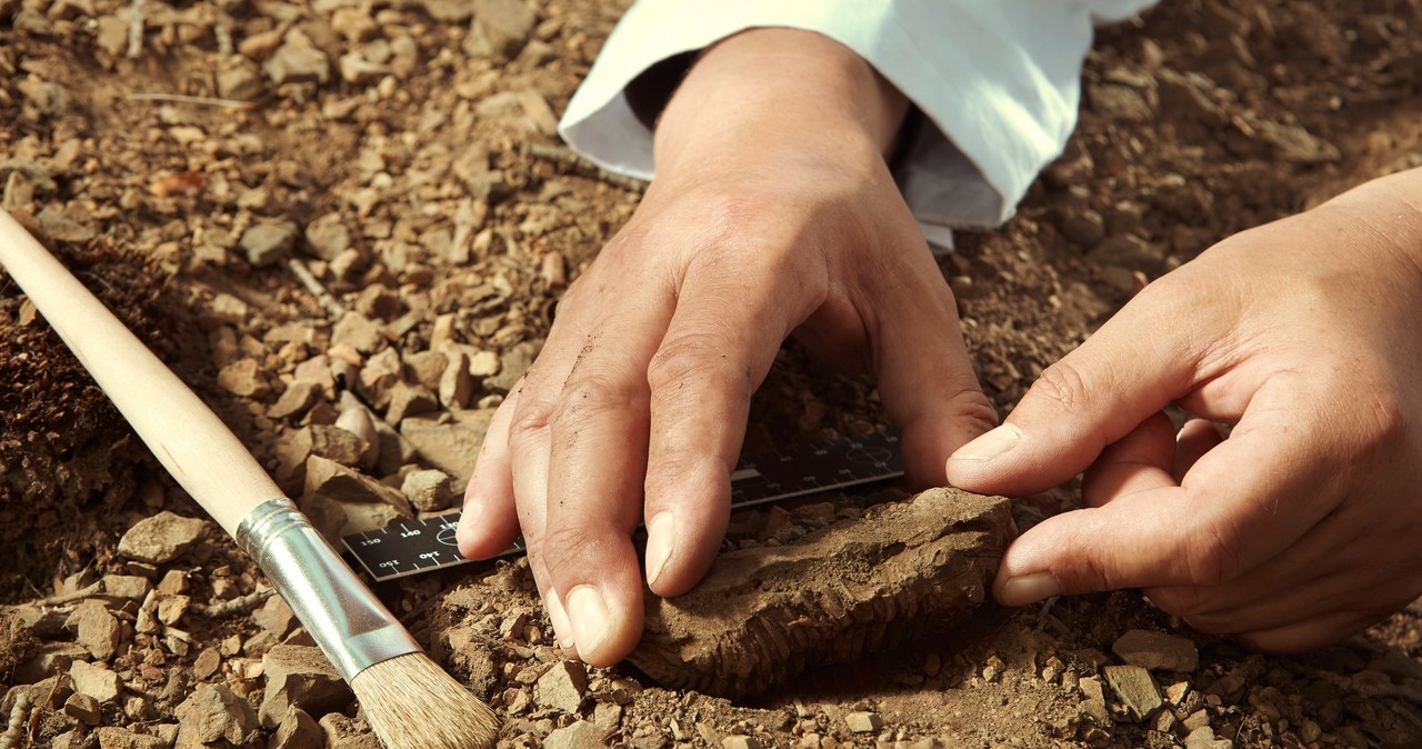 Archeolodzy natrafili na zdobioną fiolkę sprzed 4 tys. lat. Okazało się, że nie tylko "opakowanie" jest fascynujące, ale i jego zawartość. Fiolka skrywa bowiem starożytną mieszankę minerałów - najprawdopodobniej jest to czerwona szminka. Co ciekawe, skład kosmetyku sprzed 4 tys. lat jest zgodny z recepturami współczesnych szminek. To rzadkie znalezisko jest "prawdopodobnie najwcześniejszym" przykładem używania pomadki, który został naukowo udokumentowany i poddany analizie - ogłosili naukowcy w czasopiśmie "Scientific Reports".