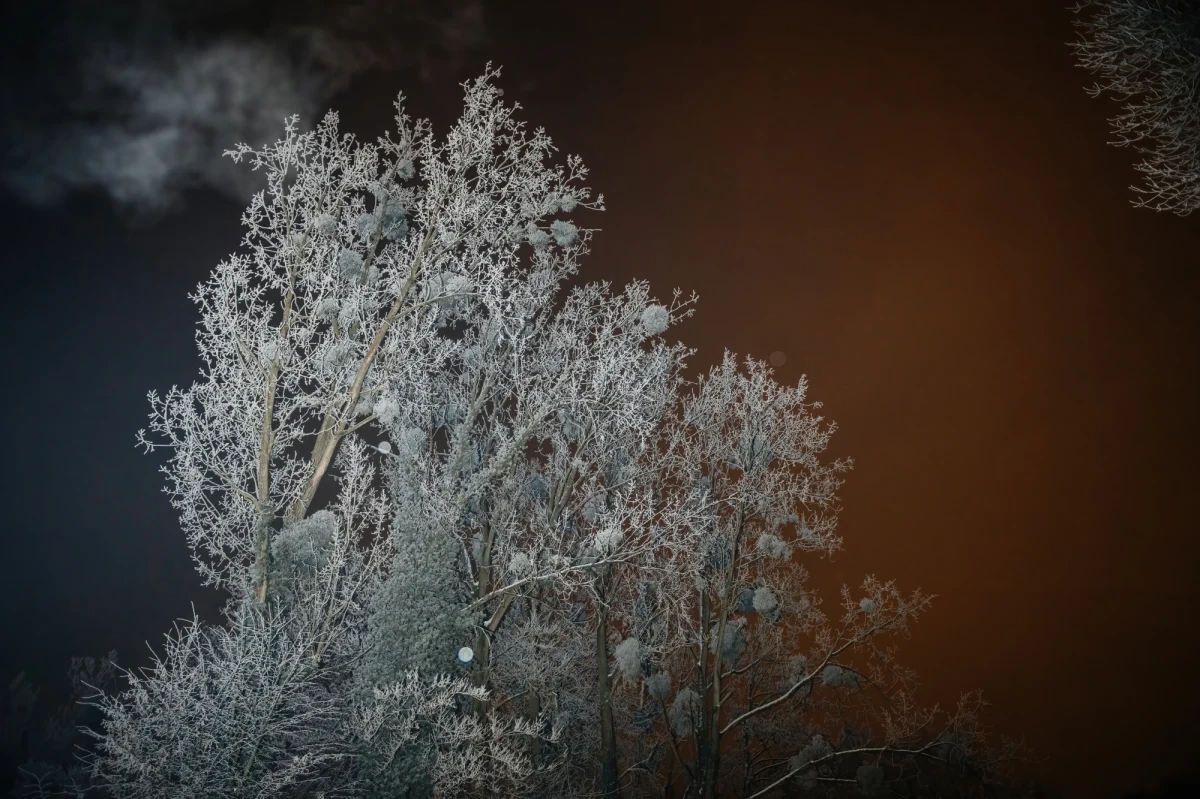 Szykuje się pochmurna i deszczowa noc na zachodzie kraju. Z kolei na wschodzie będzie pogodnie i mroźno – informuje IMGW.
