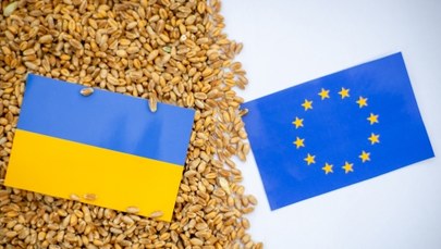 Handel z Ukrainą. Polski postulat ma zostać spełniony