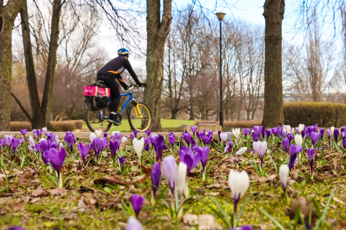 Jaką pogodę przyniosą nam przedświąteczne dni? W drugiej połowie przyszłego tygodnia termometry mają pokazać nawet 21 stopni. Wcześniej czeka nas jednak kilka dni z wyjątkowo zmienną aurą. Przyniosą one m.in. deszcz i deszcz ze śniegiem oraz ochłodzenie. 