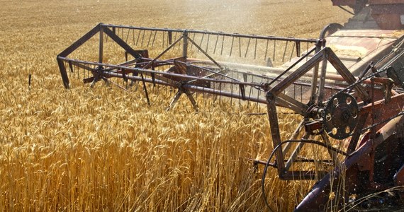 Komisja Europejska proponuje objęcie cłami zaporowymi importu zboża i nasion oleistych z Rosji i Białorusi. Cła większości produktów wzrosną od zera do 95 euro za tonę. 