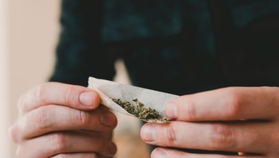 Legalna marihuana w Niemczech
