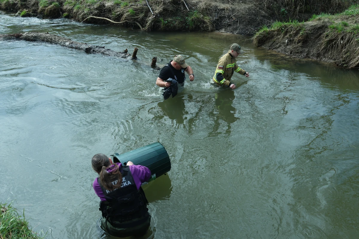 W sobotę odbywa się wielkie sprzątanie Rudawy. Oprócz zbierania odpadów, zaplanowano także zarybianie rzek młodymi osobnikami pstrąga potokowego i lipienia.