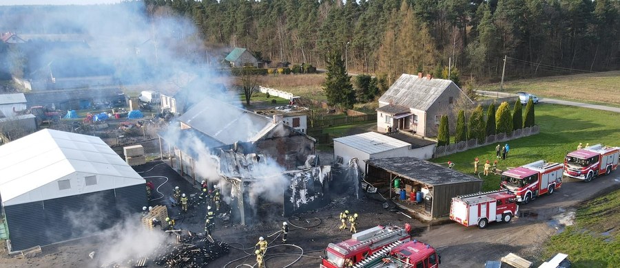 Kilkudziesięciu strażaków gasiło pożar hal w miejscowości Nowiny w powiecie kłobuckim w Śląskiem. Nikt nie został ranny w wyniku zdarzenia.