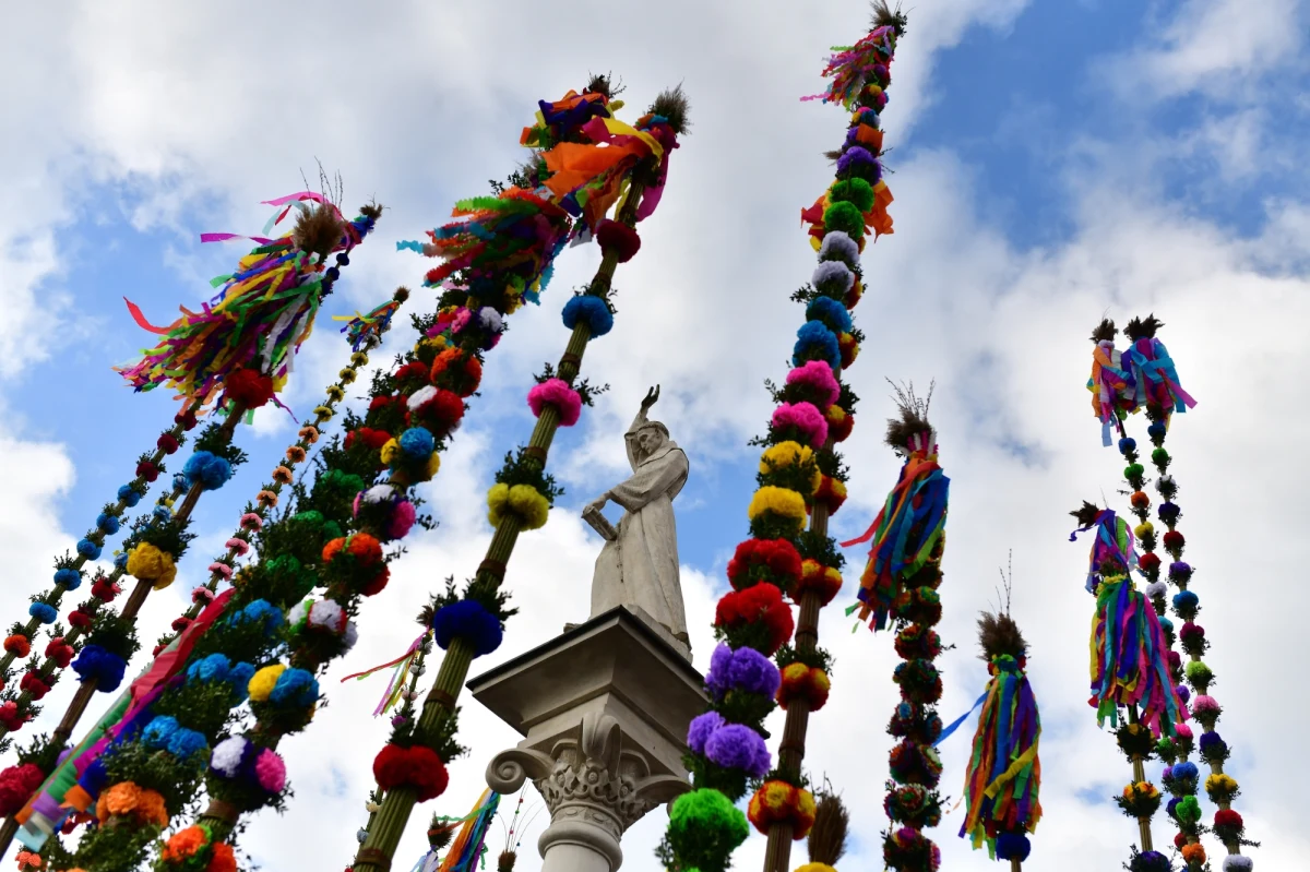 Ponad 27 metrów mierzy najwyższa palma zgłoszona do 65. Konkursu Lipnickich Palm, który tradycyjnie odbył się w Niedzielę Palmową na Rynku w Lipnicy Murowanej (Małopolskie). Wykonawcą zwycięskiej pracy jest Andrzej Goryl, autor rekordowo wysokiej, na prawie 38 m, palmy w 2019 r.
