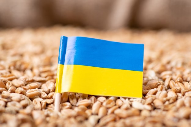 Handel bezcłowy z Ukrainą. Ambasadorowie spróbują zatwierdzić umowę